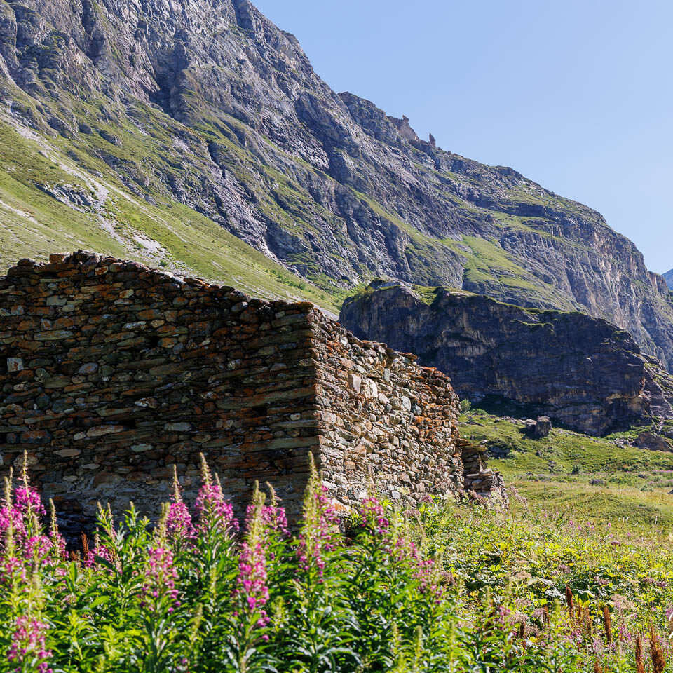vieille bergerie abandonnée en pleine montagne sous le soleil